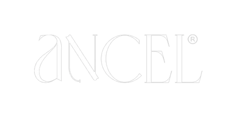 Ancel logo — LemonTalks® client