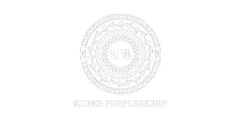 Kuber Purpleberry logo — LemonTalks® client