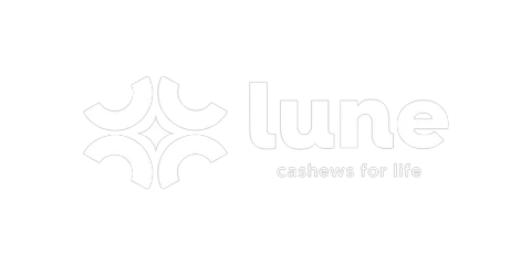 Lune logo — LemonTalks® client
